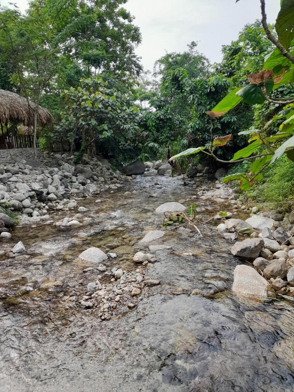 Khach San Vuon Quoc Gia Ba Be Hotell Bac Kan Exteriör bild