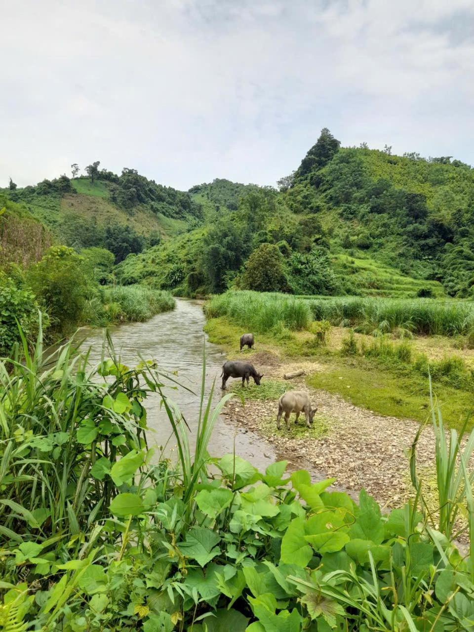 Khach San Vuon Quoc Gia Ba Be Hotell Bac Kan Exteriör bild